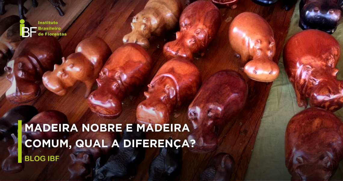 Tipos de madeira diferenças entre a madeira nobre e a madeira comum