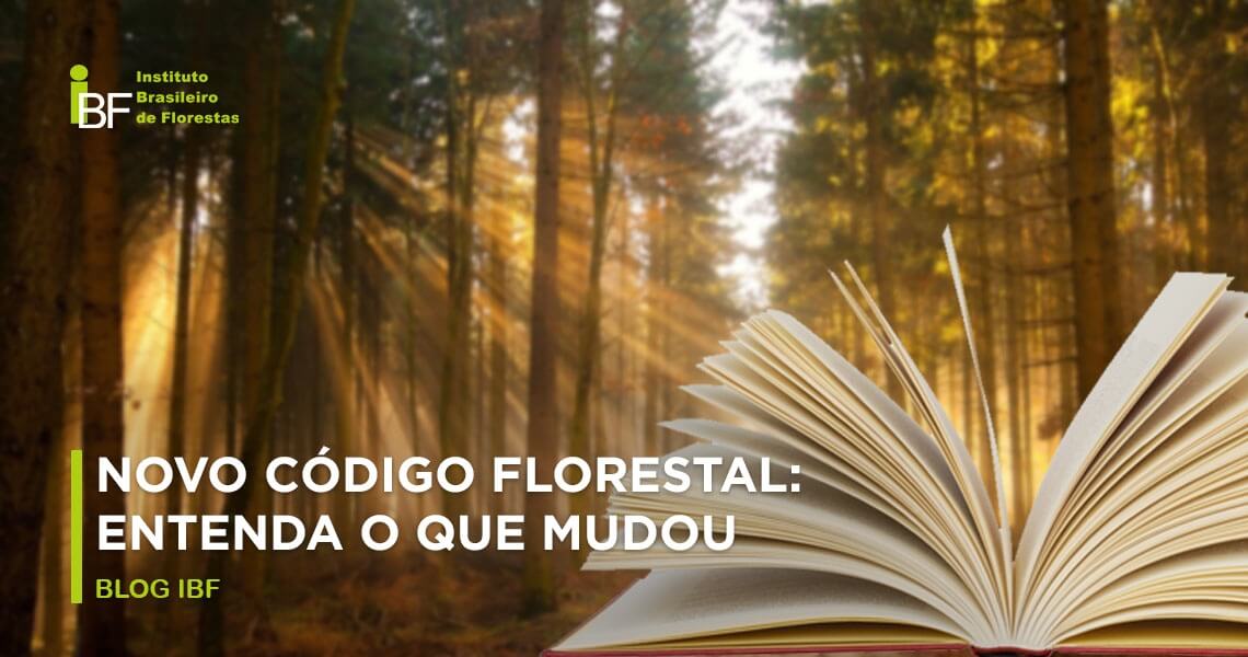 Novo Código Florestal entenda o que mudou na legislação